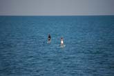 Best Kitesurfing